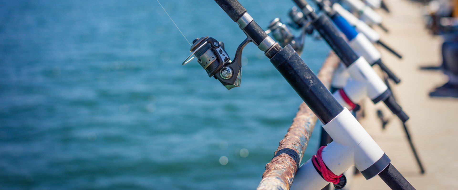 Fishing Equipment Suppliers In Fort Mill SC Blog Bait And Tackle