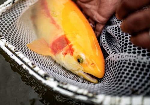 Customization Options for Fishing Enthusiasts in Fort Mill, SC