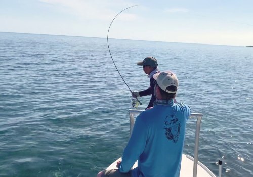Exploring the World of Fishing Equipment Suppliers in Fort Mill, SC